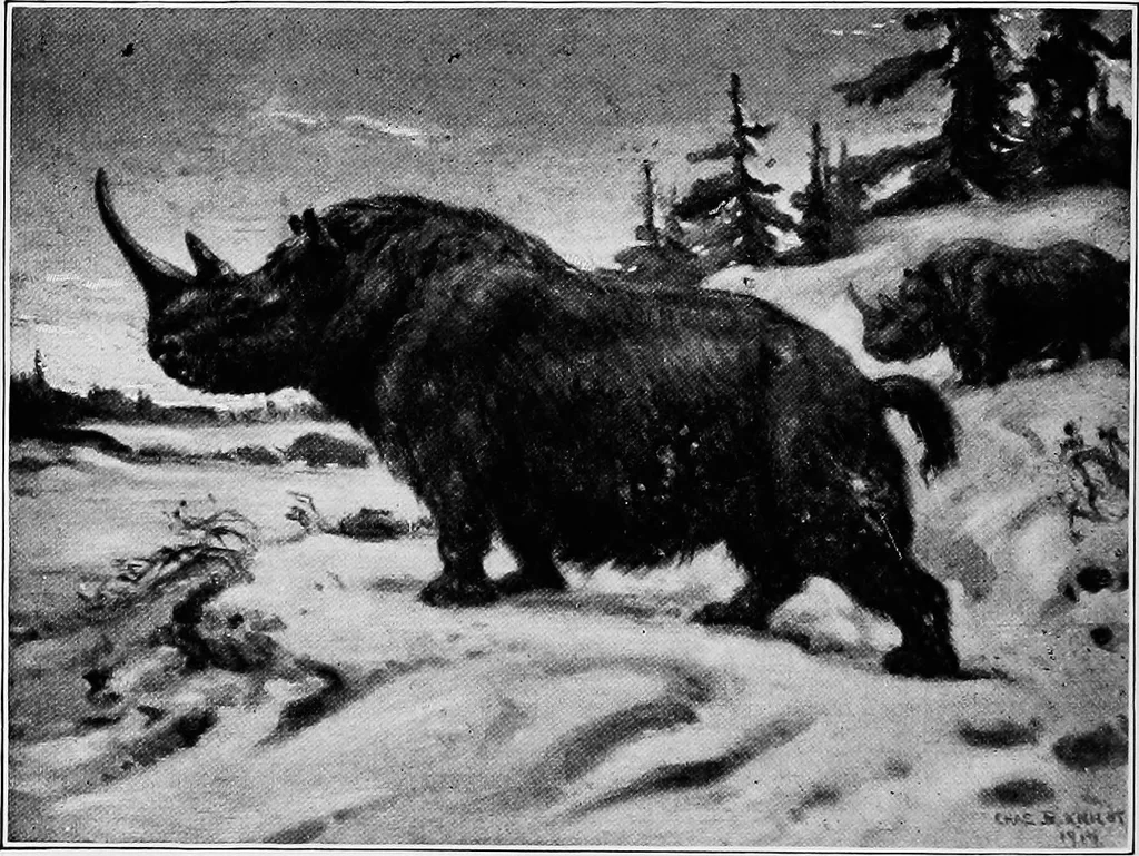 An illustration from Men of the old stone age, their environment, life and art, 1918, leaf 249