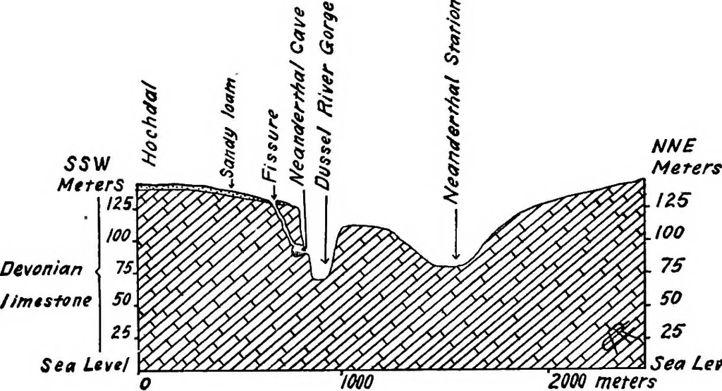 An illustration from Men of the old stone age, their environment, life and art, 1918, leaf 255