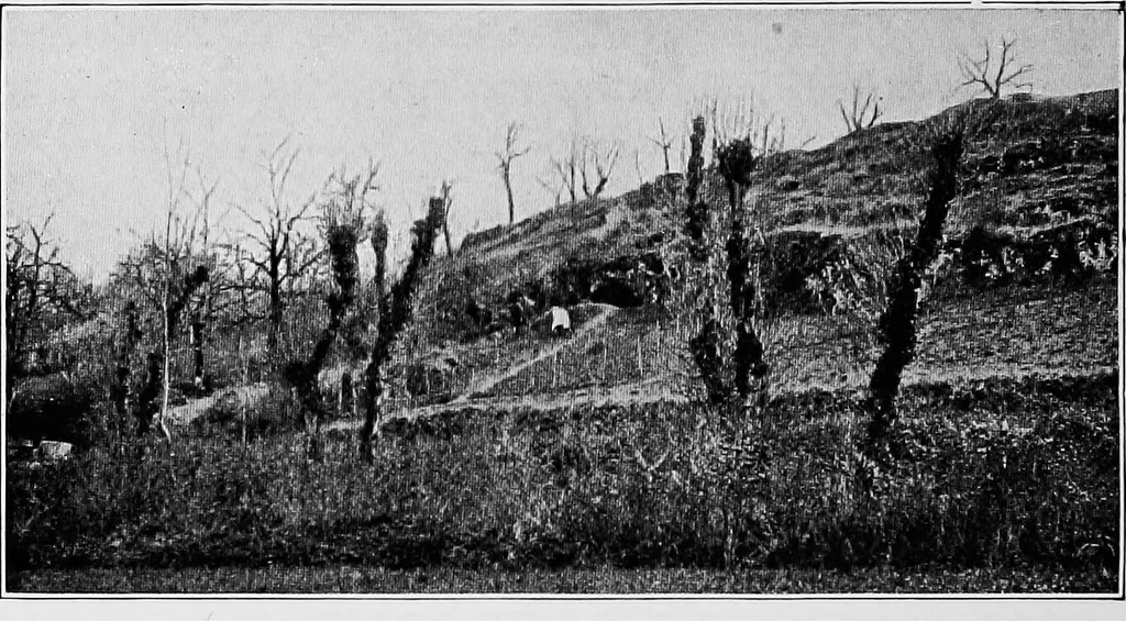 An illustration from Men of the old stone age, their environment, life and art, 1918, leaf 261