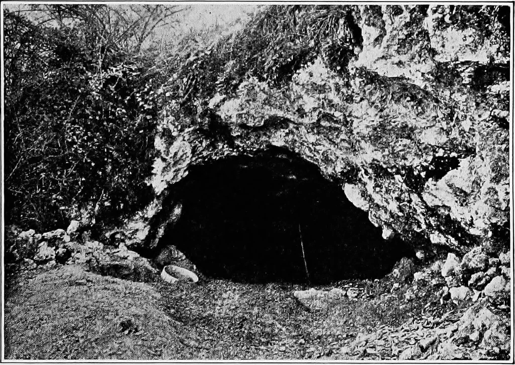 An illustration from Men of the old stone age, their environment, life and art, 1918, leaf 262