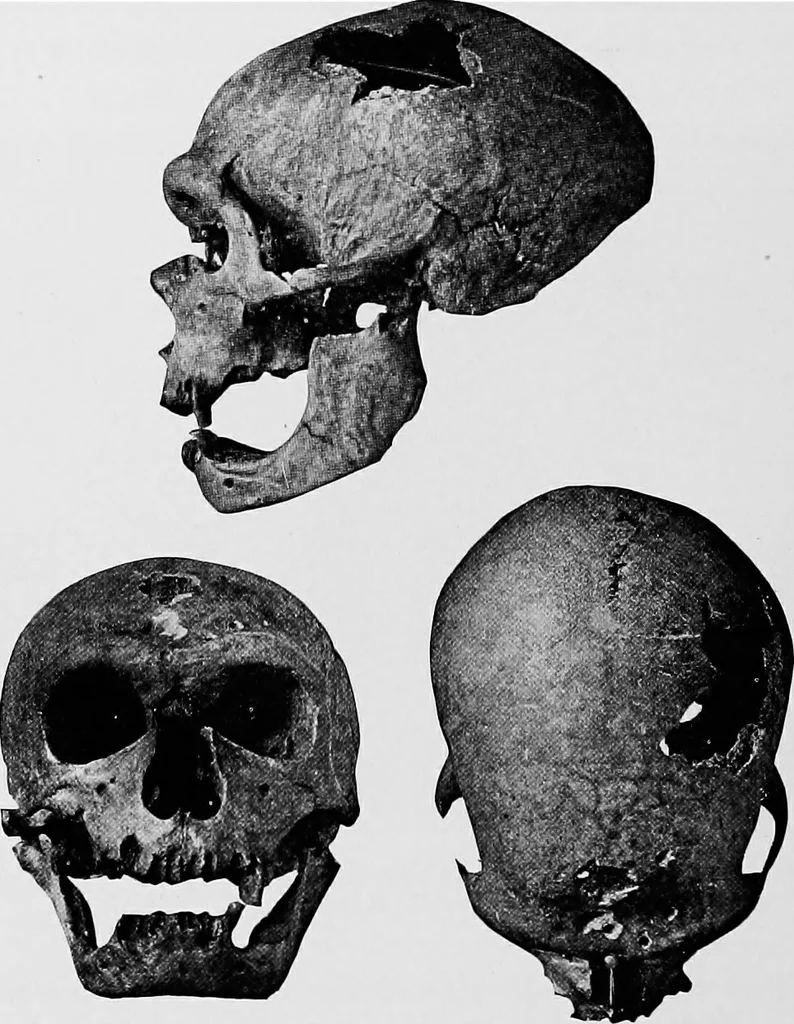An illustration from Men of the old stone age, their environment, life and art, 1918, leaf 263