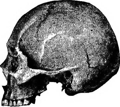An illustration from Men of the old stone age, their environment, life and art, 1918, leaf 266