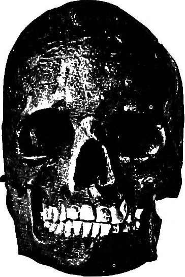An illustration from Men of the old stone age, their environment, life and art, 1918, leaf 307