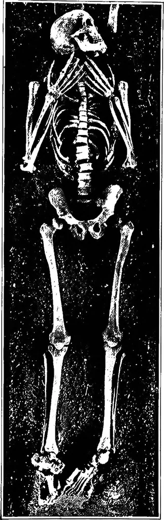 An illustration from Men of the old stone age, their environment, life and art, 1918, leaf 336