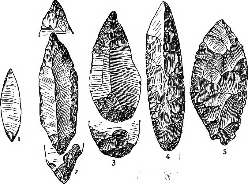 An illustration from Men of the old stone age, their environment, life and art, 1918, leaf 351