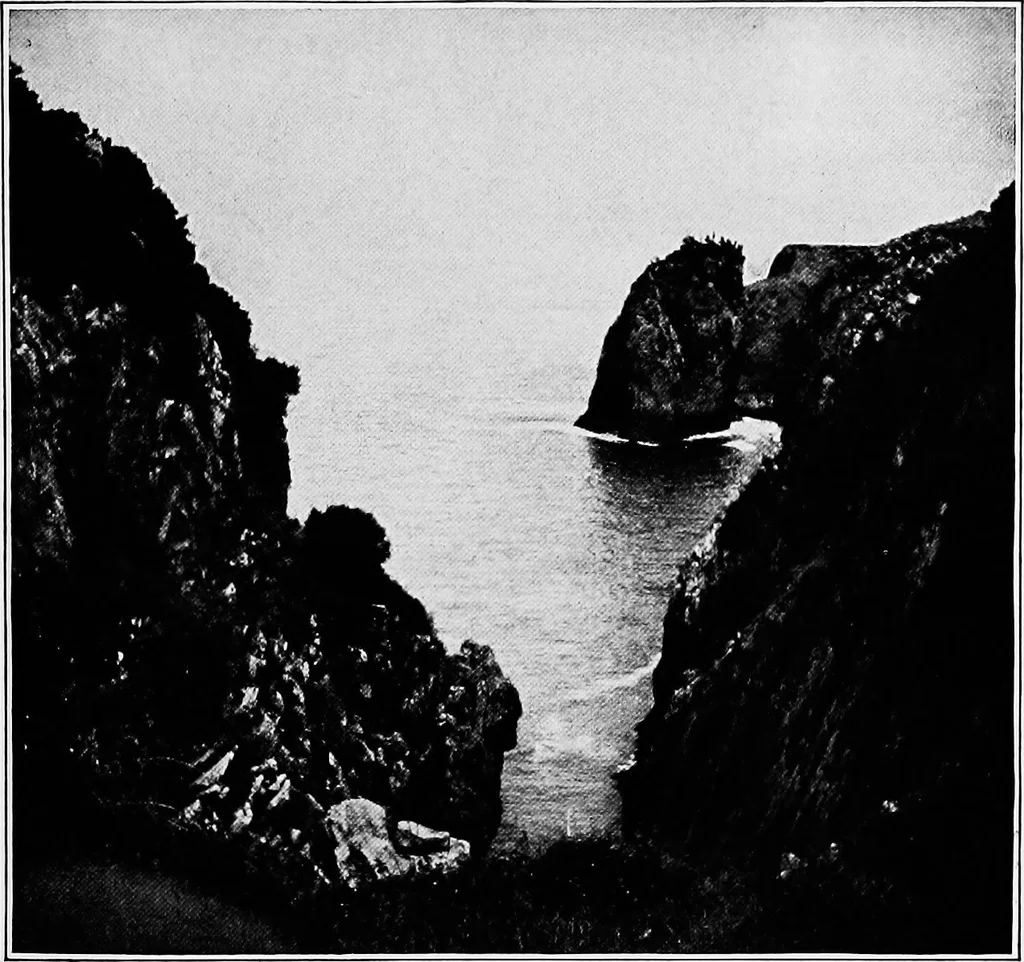 An illustration from Men of the old stone age, their environment, life and art, 1918, leaf 354