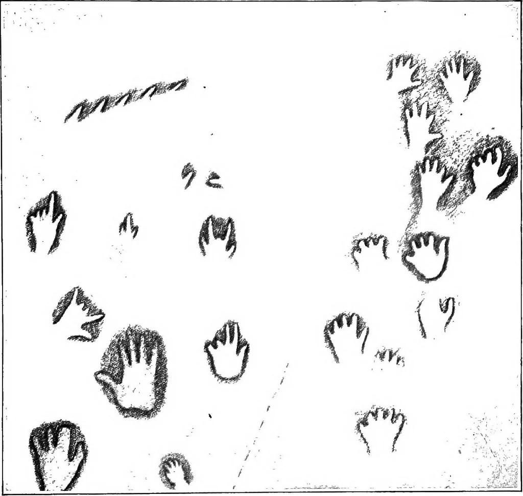 An illustration from Men of the old stone age, their environment, life and art, 1918, leaf 364
