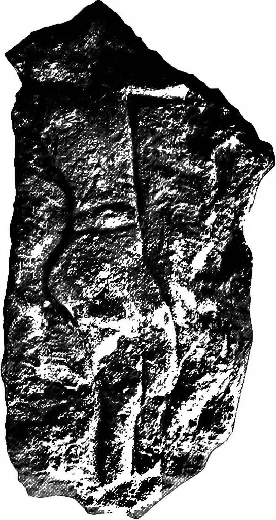 An illustration from Men of the old stone age, their environment, life and art, 1918, leaf 368
