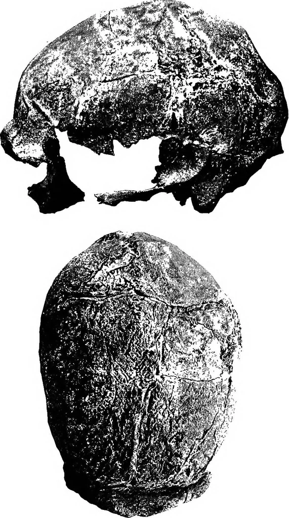 An illustration from Men of the old stone age, their environment, life and art, 1918, leaf 374