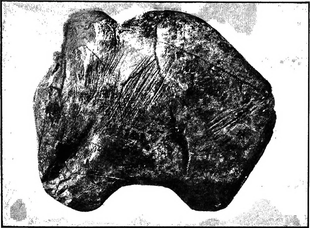 An illustration from Men of the old stone age, their environment, life and art, 1918, leaf 388