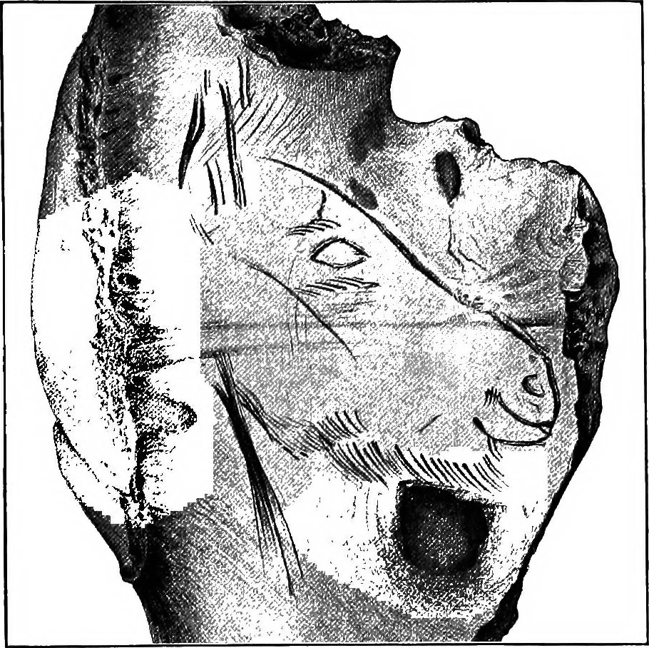 An illustration from Men of the old stone age, their environment, life and art, 1918, leaf 394