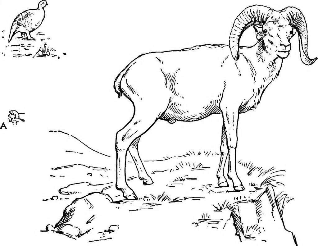 An illustration from Men of the old stone age, their environment, life and art, 1918, leaf 412