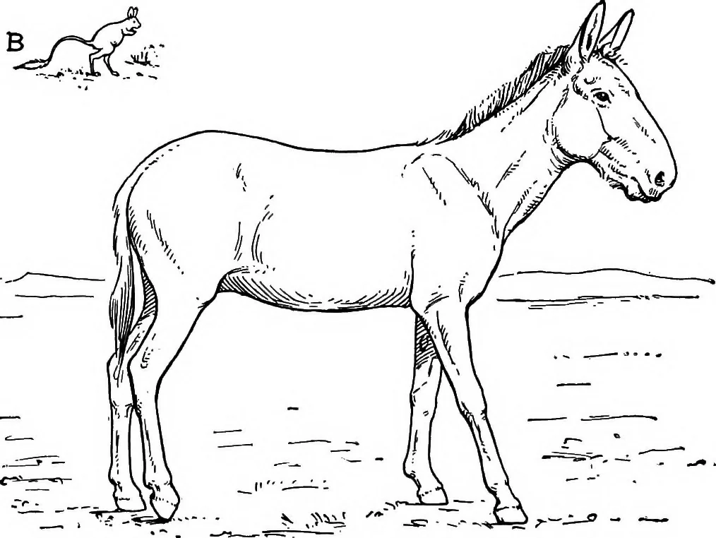 An illustration from Men of the old stone age, their environment, life and art, 1918, leaf 415