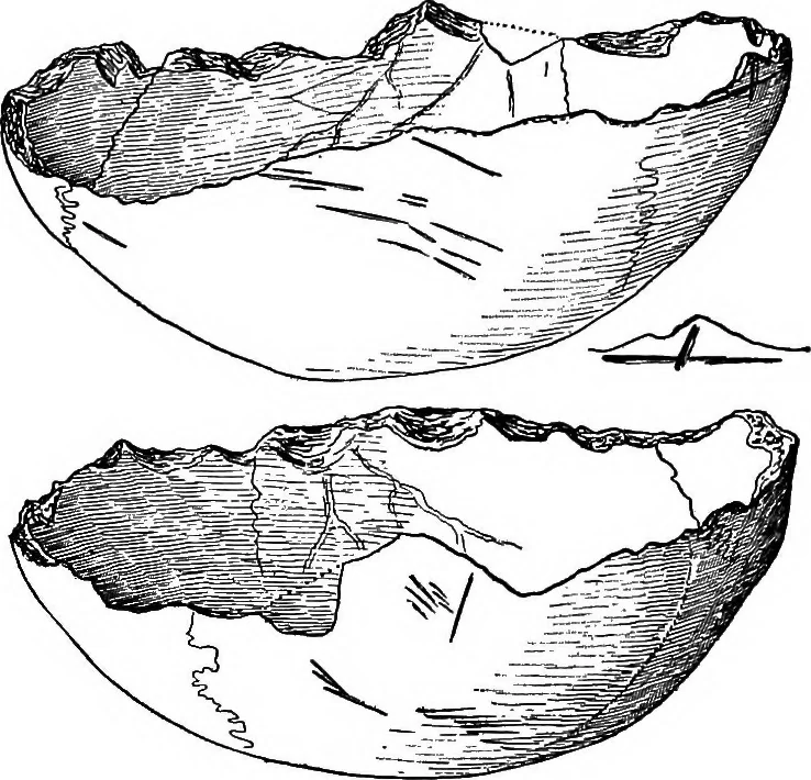 An illustration from Men of the old stone age, their environment, life and art, 1918, leaf 420