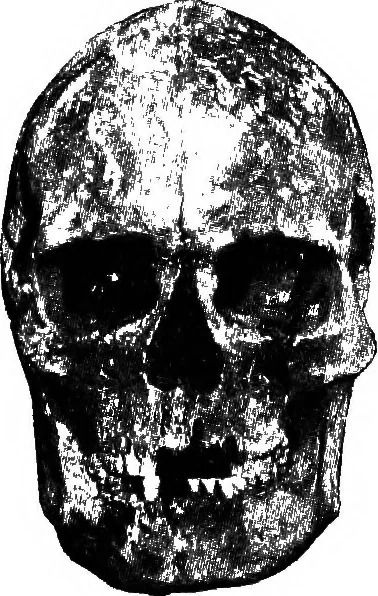 An illustration from Men of the old stone age, their environment, life and art, 1918, leaf 422