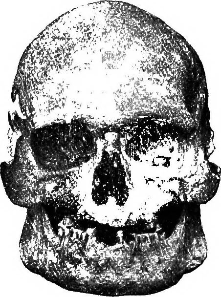 An illustration from Men of the old stone age, their environment, life and art, 1918, leaf 422