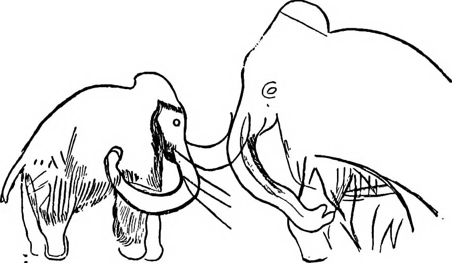 An illustration from Men of the old stone age, their environment, life and art, 1918, leaf 438