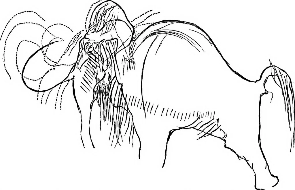 An illustration from Men of the old stone age, their environment, life and art, 1918, leaf 439