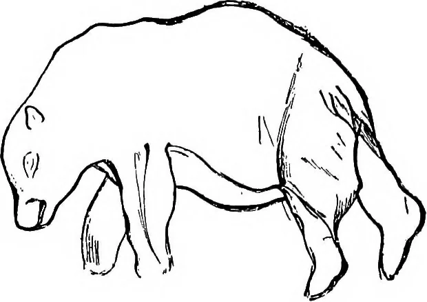 An illustration from Men of the old stone age, their environment, life and art, 1918, leaf 442