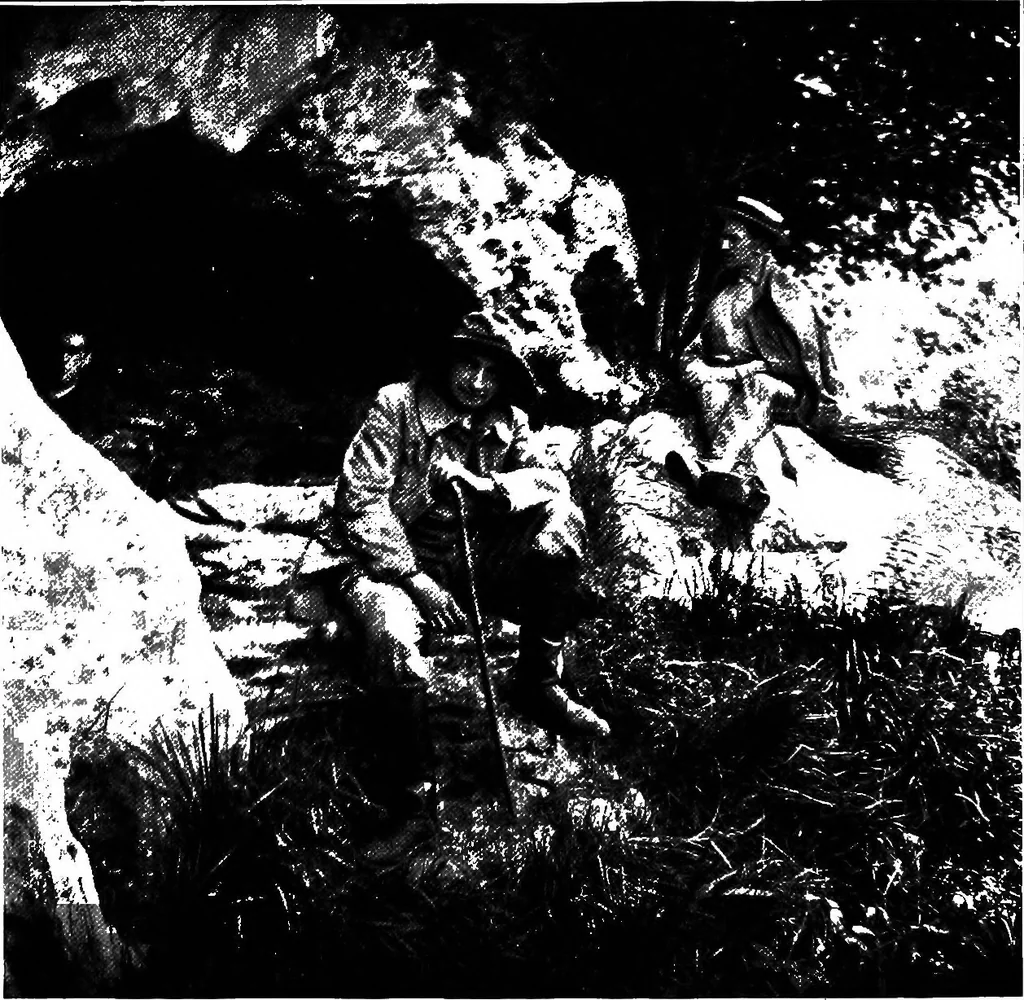 An illustration from Men of the old stone age, their environment, life and art, 1918, leaf 443