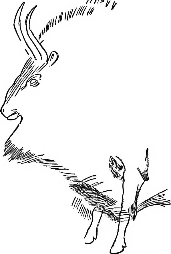 An illustration from Men of the old stone age, their environment, life and art, 1918, leaf 444