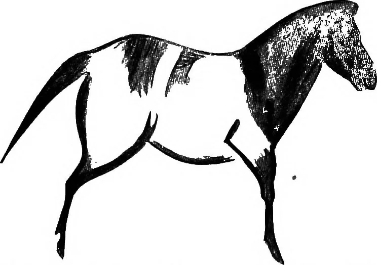 An illustration from Men of the old stone age, their environment, life and art, 1918, leaf 449