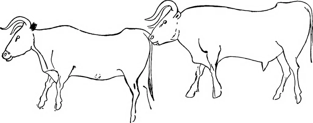 An illustration from Men of the old stone age, their environment, life and art, 1918, leaf 454