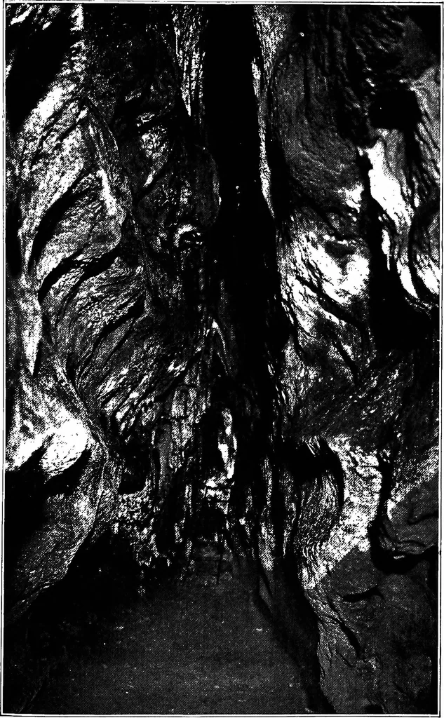 An illustration from Men of the old stone age, their environment, life and art, 1918, leaf 460