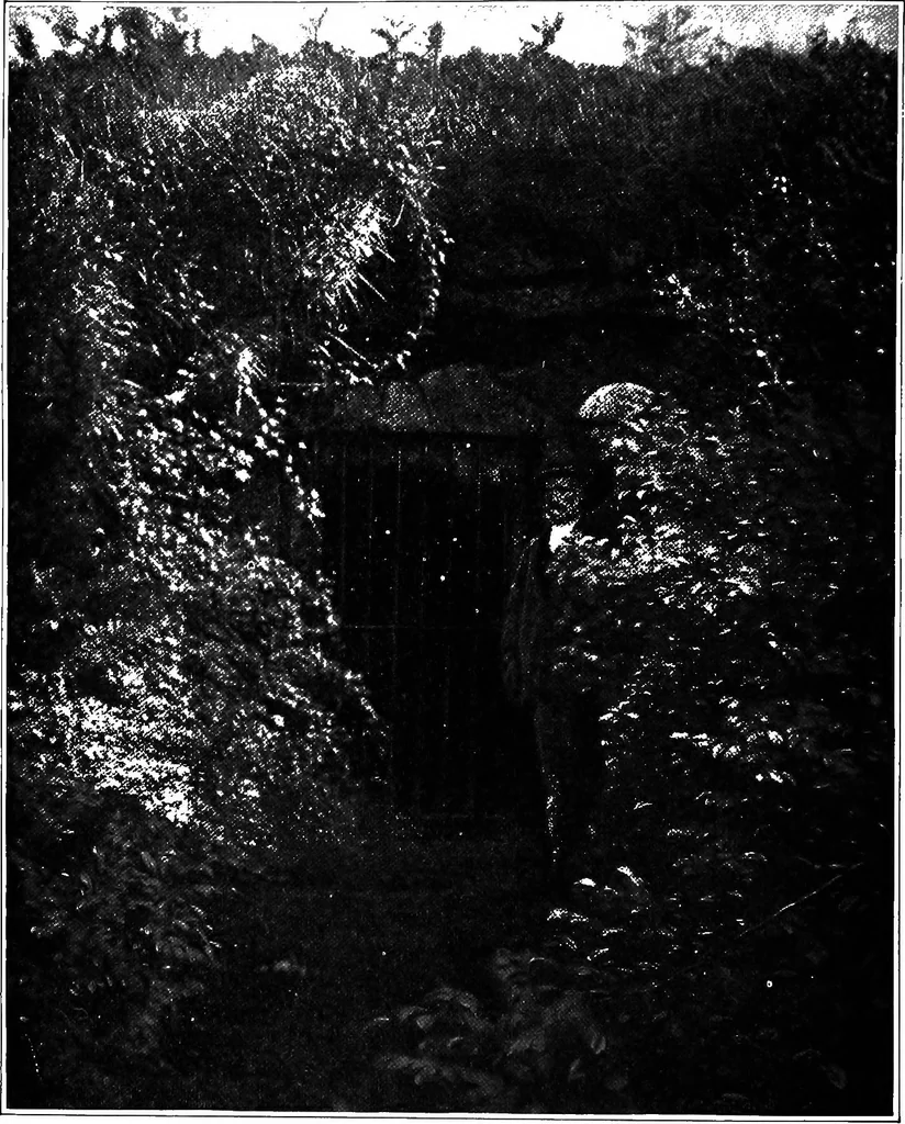 An illustration from Men of the old stone age, their environment, life and art, 1918, leaf 465