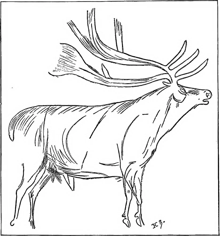 An illustration from Men of the old stone age, their environment, life and art, 1918, leaf 469
