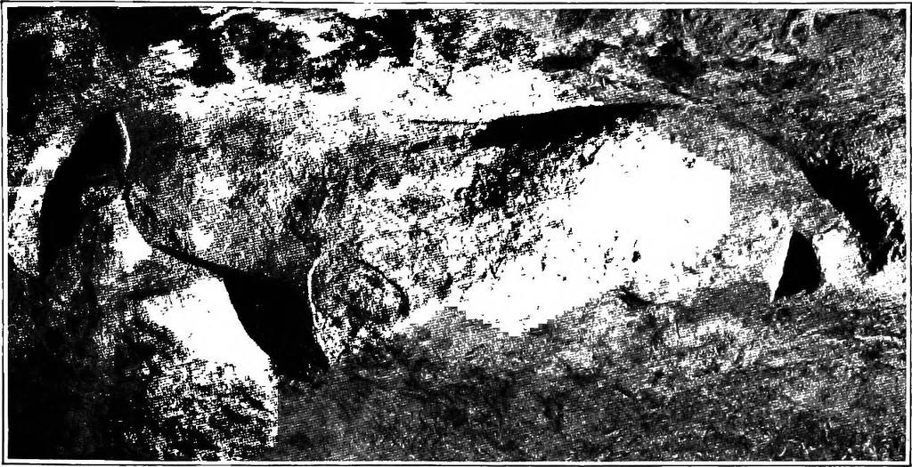An illustration from Men of the old stone age, their environment, life and art, 1918, leaf 474