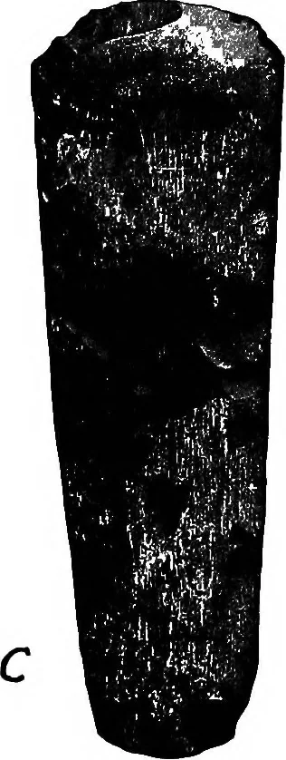 An illustration from Men of the old stone age, their environment, life and art, 1918, leaf 48