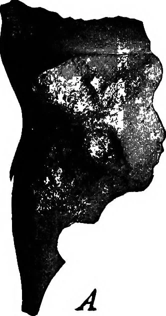 An illustration from Men of the old stone age, their environment, life and art, 1918, leaf 48