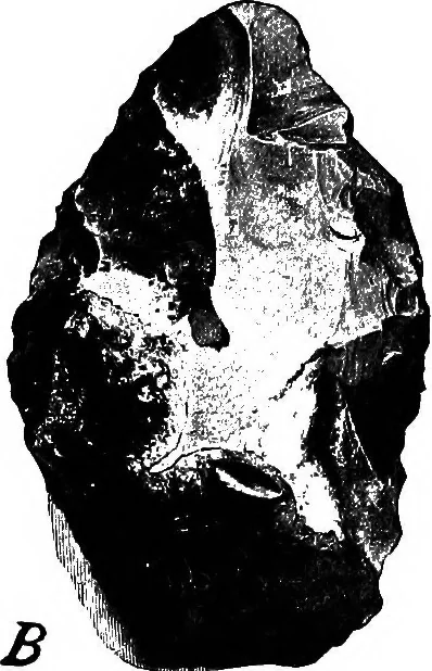 An illustration from Men of the old stone age, their environment, life and art, 1918, leaf 48