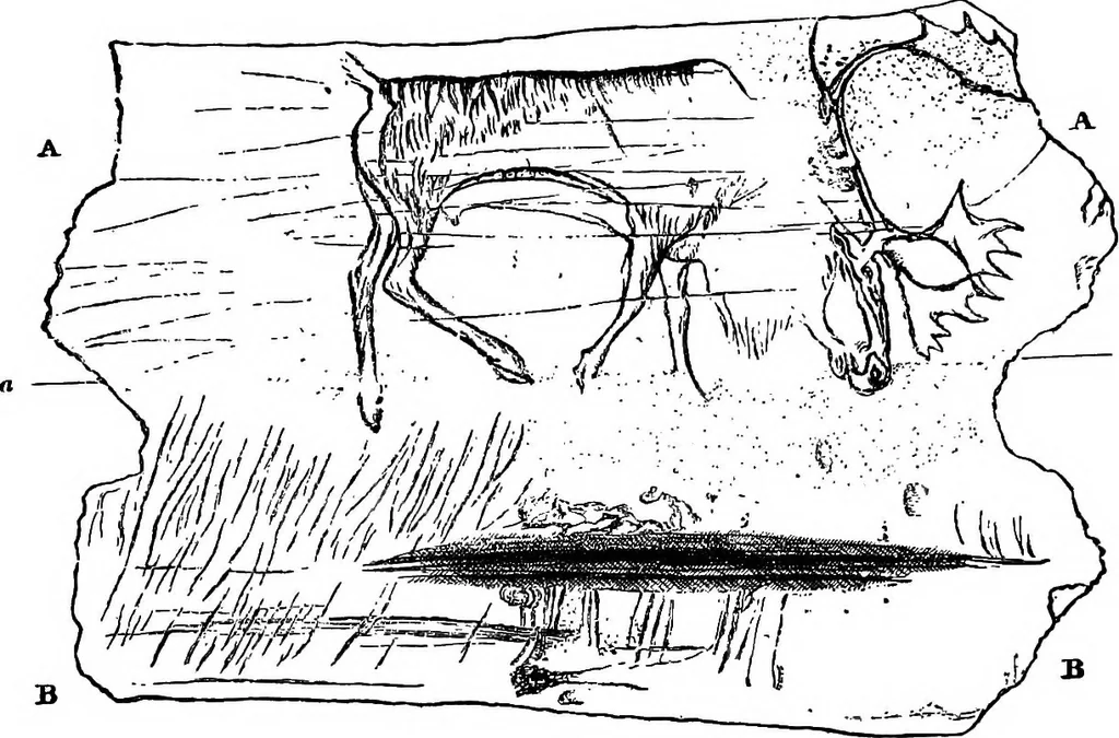 An illustration from Men of the old stone age, their environment, life and art, 1918, leaf 484