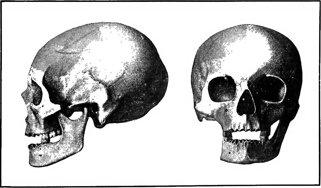 An illustration from Men of the old stone age, their environment, life and art, 1918, leaf 526