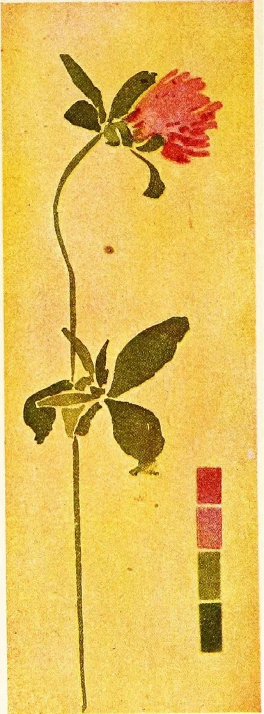 An illustration from Nature drawing from various points of view;, 1910, leaf 15
