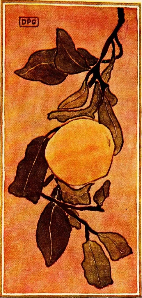 An illustration from Nature drawing from various points of view;, 1910, leaf 150