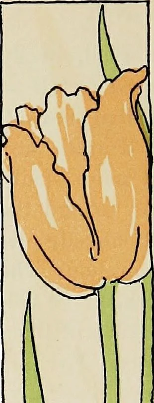 An illustration from A garden in pink, 1905, leaf 194