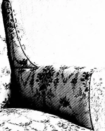 An illustration from The house beautiful and useful; being practical suggestions on furnishing and decoration, 1907, leaf 132