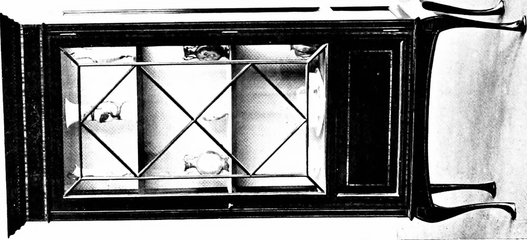 An illustration from The house beautiful and useful; being practical suggestions on furnishing and decoration, 1907, leaf 147