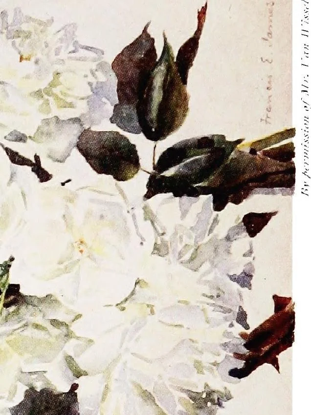 An illustration from The practice of water-colour painting, 1911, leaf 142