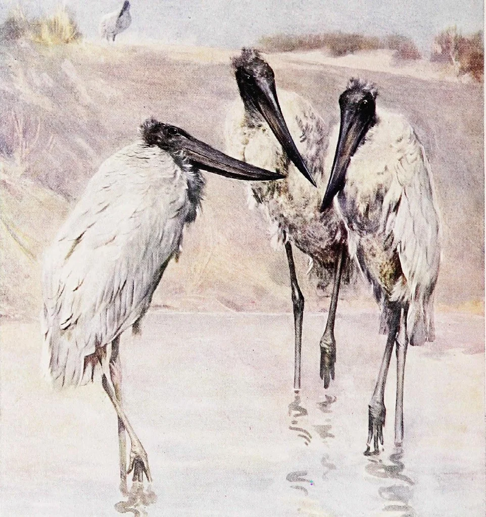 An illustration from The practice of water-colour painting, 1911, leaf 188