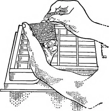 An illustration from Printing; a textbook for printers' apprentices, continuation classes, and for general use in schools, 1917, leaf 48