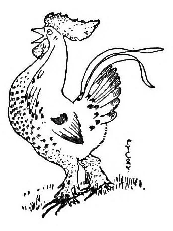 An illustration from St. Nicholas book of plays & operettas, 1915, leaf 246