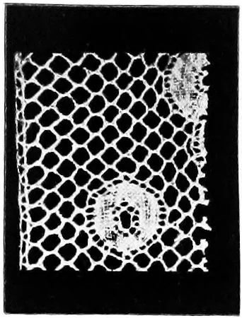 An illustration from Bobbins of Belgium : a book of Belgian lace, lace-workers, lace-schools and lace-villages, 1920, leaf 100
