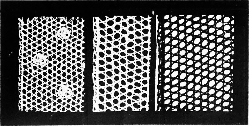 An illustration from Bobbins of Belgium : a book of Belgian lace, lace-workers, lace-schools and lace-villages, 1920, leaf 100