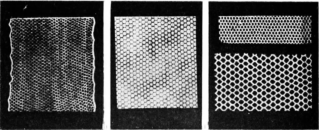 An illustration from Bobbins of Belgium : a book of Belgian lace, lace-workers, lace-schools and lace-villages, 1920, leaf 101
