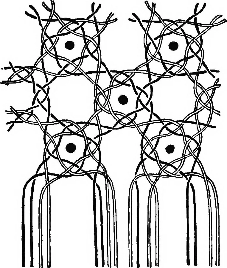 An illustration from Bobbins of Belgium : a book of Belgian lace, lace-workers, lace-schools and lace-villages, 1920, leaf 352