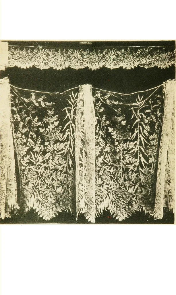 An illustration from A renascence of the Irish art of lace-making. Illustrated by photographic reproductions of Irish laces, made from new and specially designed patterns, 1888, leaf 40